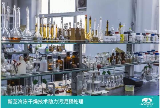 新芝冷凍干燥技術助力污泥預處理