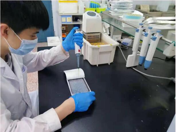 高考后跟大龍來次不期而遇，可好？